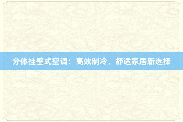 分体挂壁式空调：高效制冷，舒适家居新选择